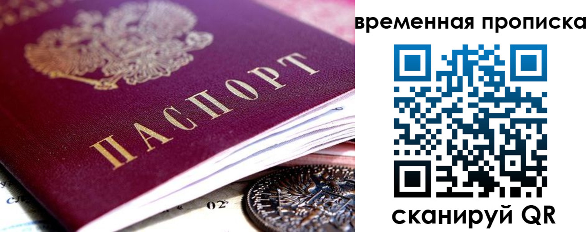 временная прописка в Елизово